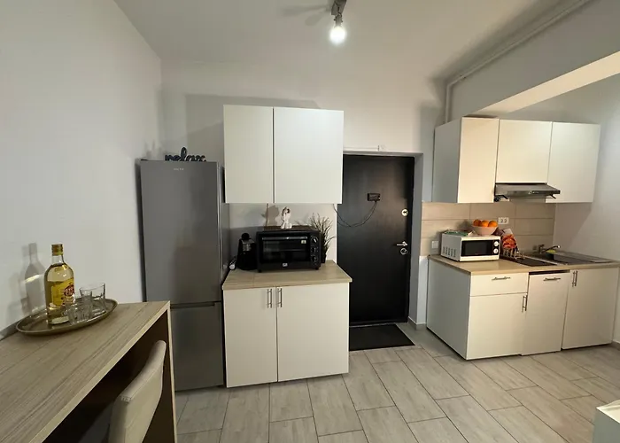 Apartment mit 1 Schlafzimmer